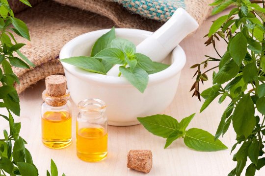 Why using essential oils? Bulgaria, All Blogs Bulgaria, Jasmine Drop Bulgaria